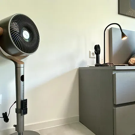 Black Forest - Bollenhut Lejlighed Gernsbach