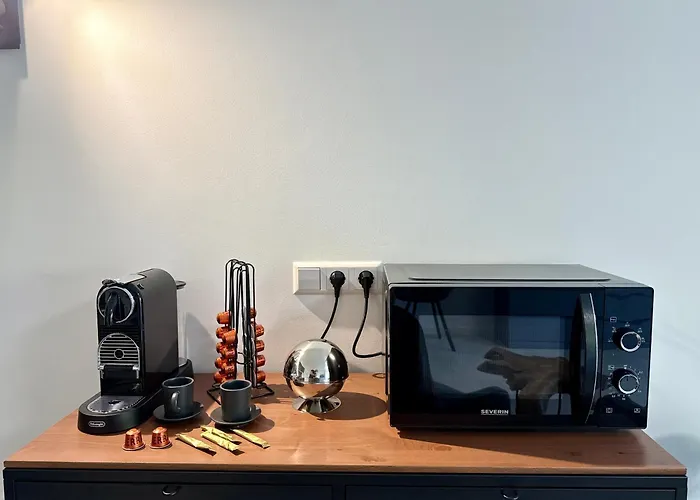 Black Forest - Bollenhut Appartement *